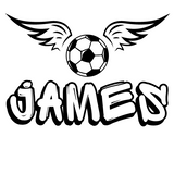 Custom LED Light PJ Laser Design QLD