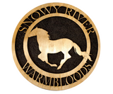 Hoop Style Small Business Sign PJ Laser Designs QLD